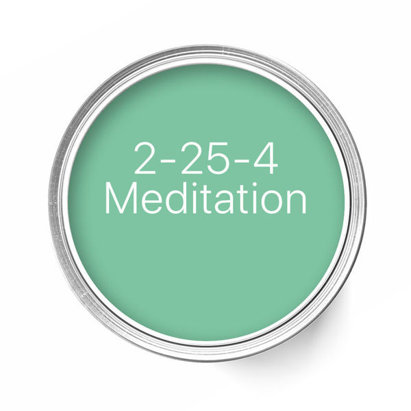 2-25-4 Meditation
