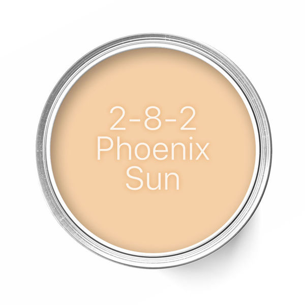 2-8-2 Phoenix Sun