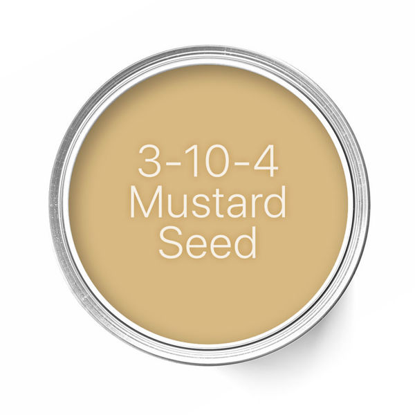 3-10-4 Mustard Seed