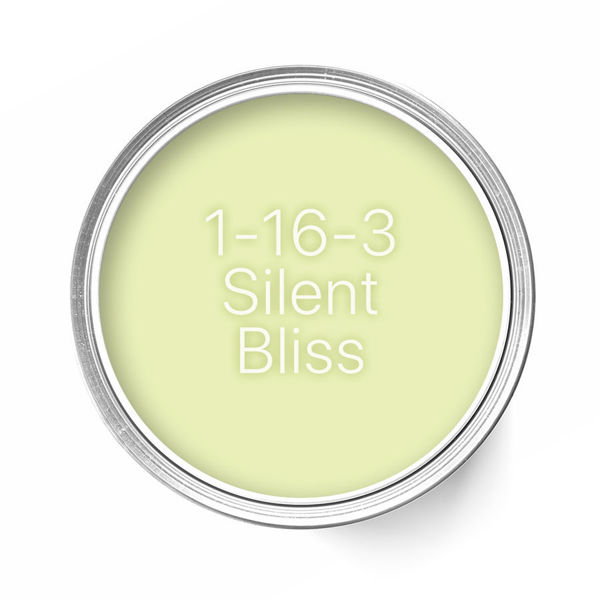 Изображение 1-16-3 Silent Bliss - Матовый пробник цвета